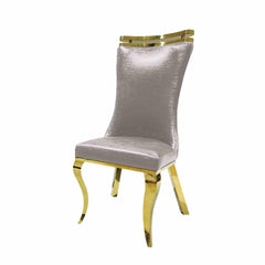 Silver Finish 2pc Side Chair Gold Legs Tiger Printed Upholstered Seat Dining Room