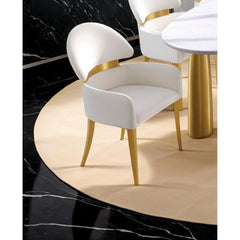 Contemporary Style 2pc Arms Chairs Stainless steel Gold Matte Finish Dining Room Furniture White