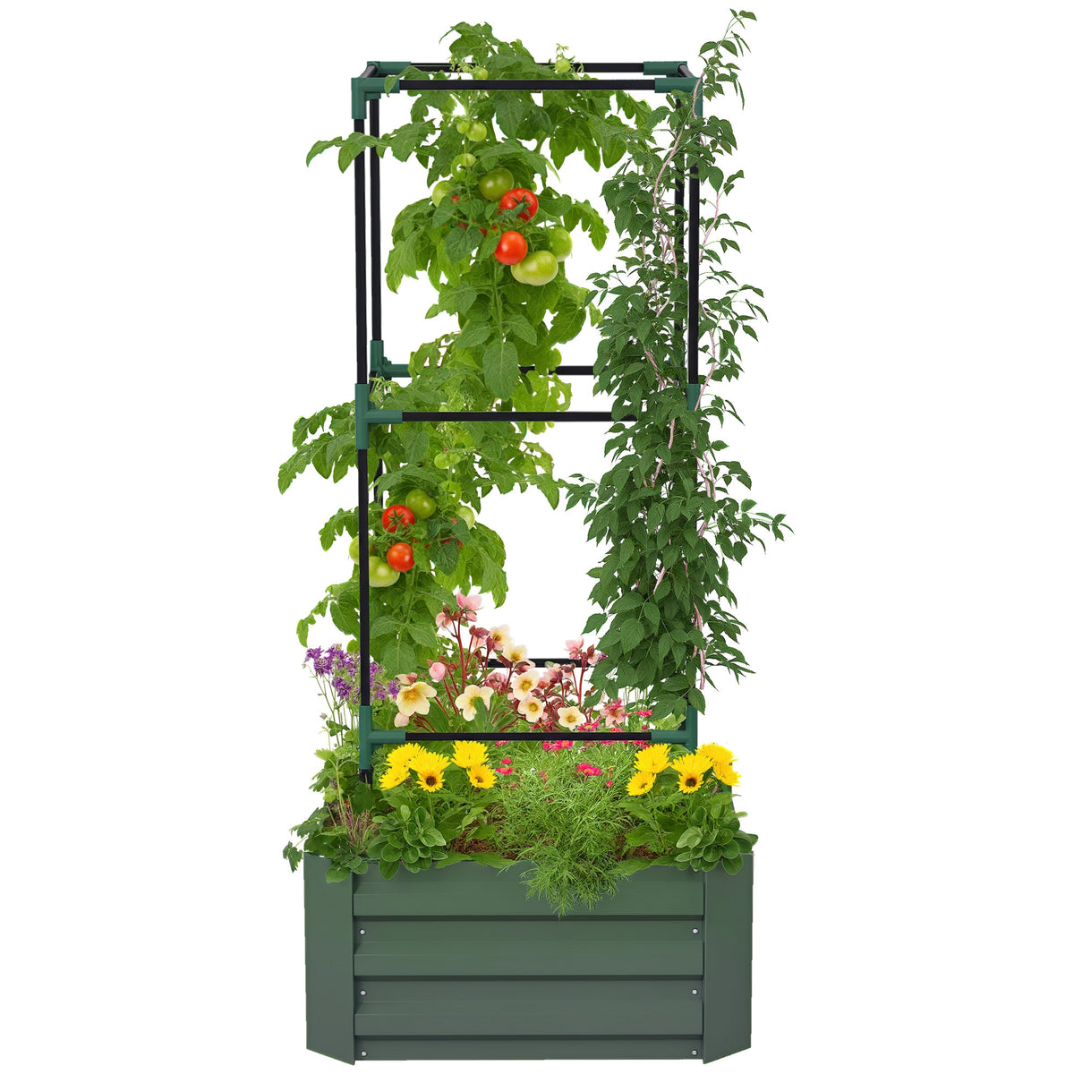 Galvanized Planter Box, 24" x 24" x 55" Raised Garden Bed with Tomato Cage for Climbing Vines, Green