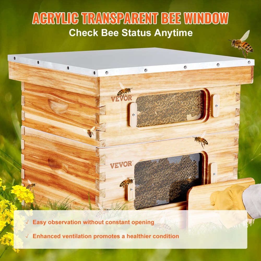 Cedar wood Langstroth beehive kit with beeswax coating and transparent acrylic windows.