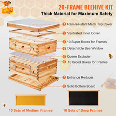 Cedar wood Langstroth beehive kit with beeswax coating and transparent acrylic windows.