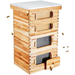 Cedar wood beehive kit with beeswax coating, 40 frames, and transparent windows for monitoring.