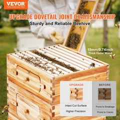 Cedar wood Langstroth beehive kit with beeswax coating and transparent windows for monitoring.