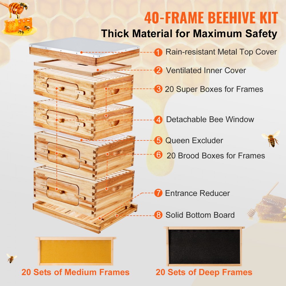Cedar wood beehive kit with acrylic windows, 40-frame capacity, and beeswax coating.