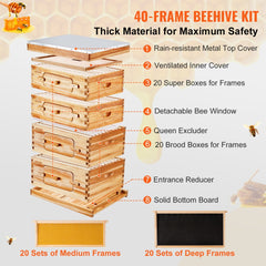 Cedar wood beehive kit with acrylic windows, 40-frame capacity, and beeswax coating.