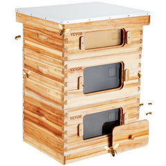Cedar wood Langstroth beehive kit with 30 frames and acrylic windows.