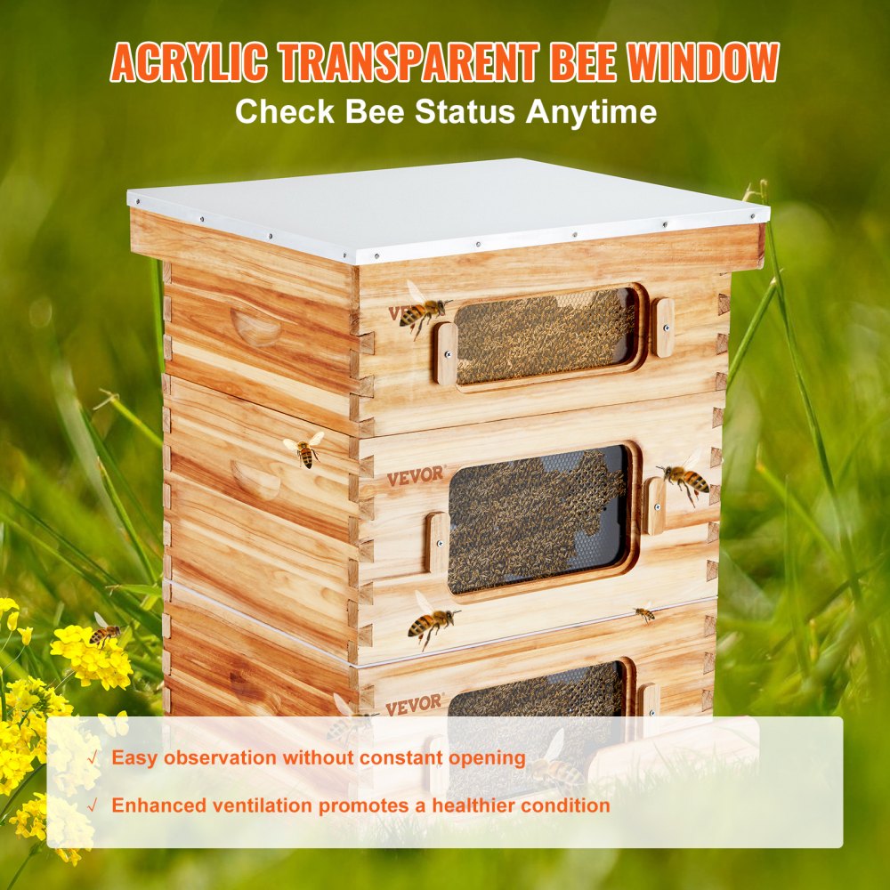 Cedar wood Langstroth beehive kit with 30 frames and acrylic observation windows.