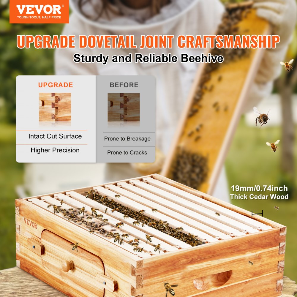 Bostome Langstroth beehive kit made of cedar wood with 10 frames and transparent bee windows.