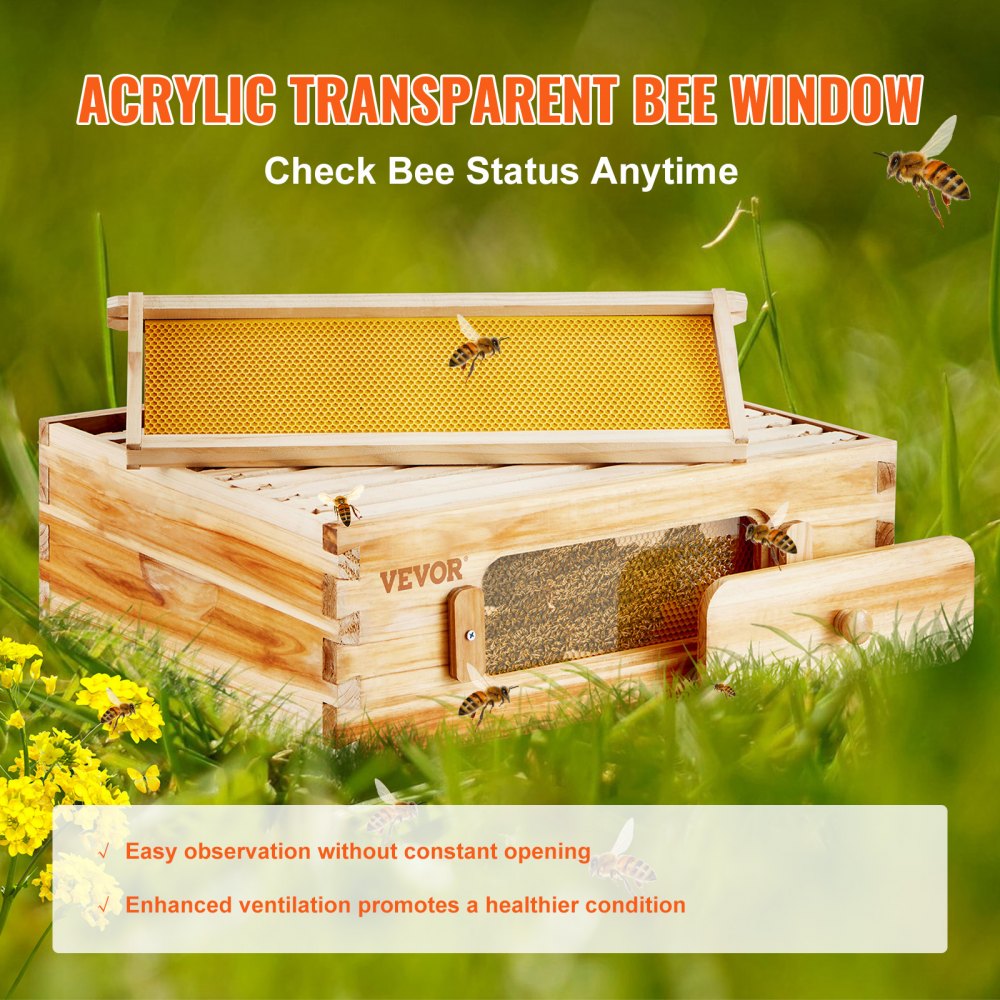 Cedar wood beehive kit with 10 frames, transparent windows, and ventilation ports.