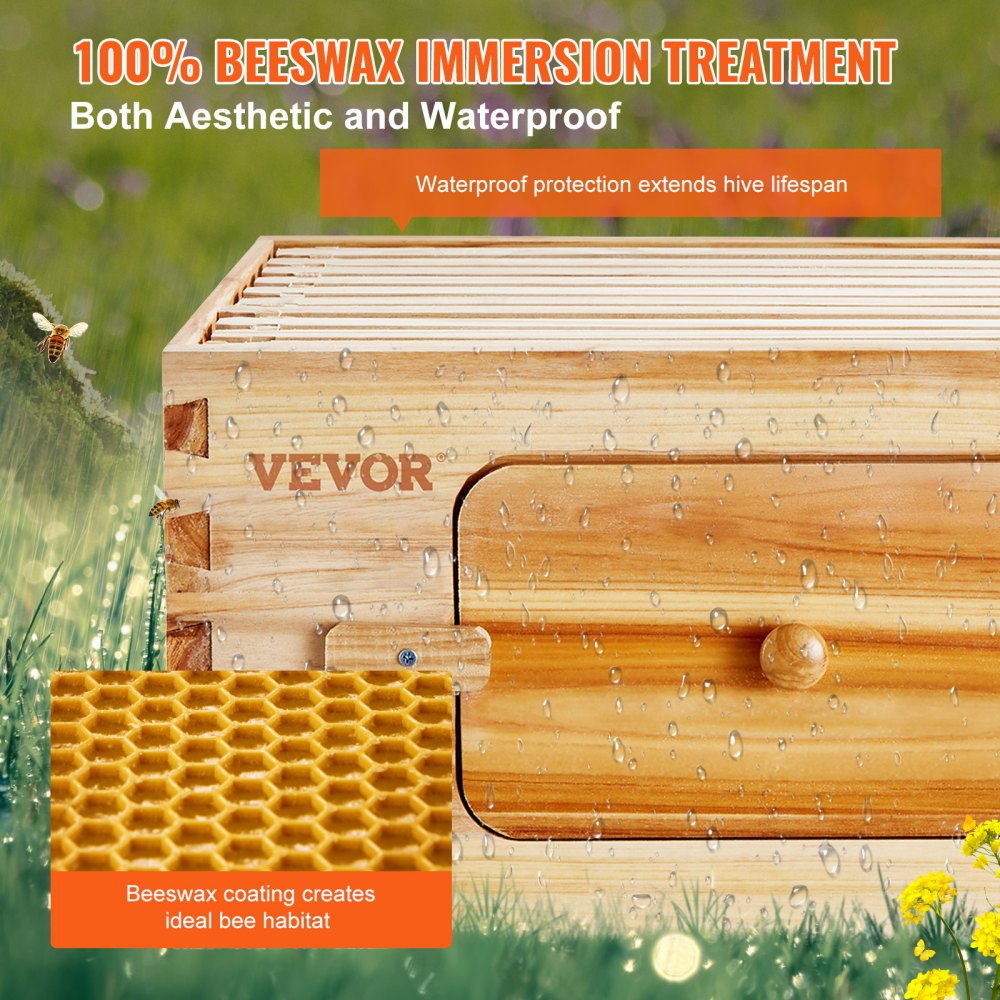 Cedar wood beehive kit with 10 frames, transparent windows, and medium box design.