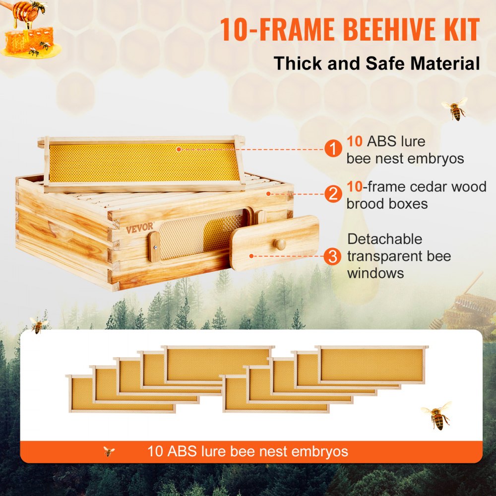 Cedar wood Langstroth beehive kit with 10 frames and transparent acrylic windows.