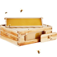 Cedar wood beehive kit with 10 frames, medium box, and transparent acrylic windows.