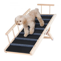 A beige poodle climbs a wooden adjustable dog ramp with non-slip surface and side rails.