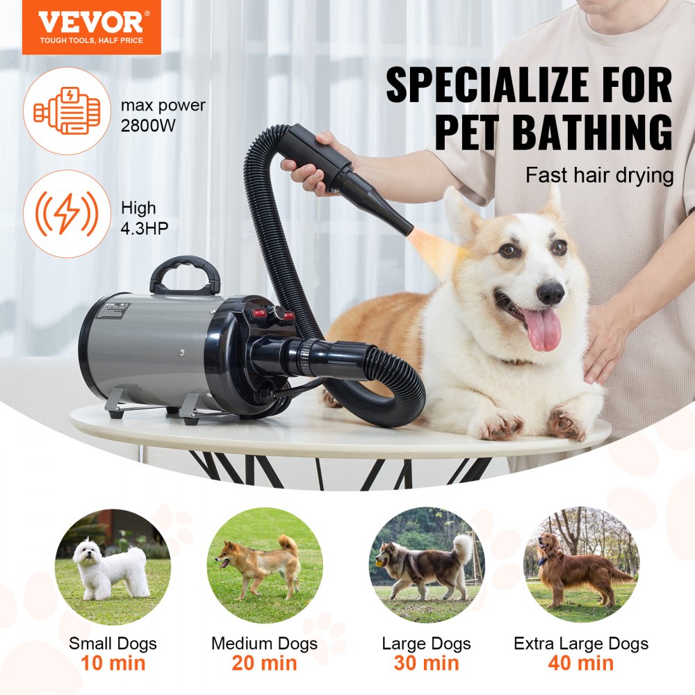 Bostome Dog Grooming Dryer in grey and black with adjustable speed and temperature settings.