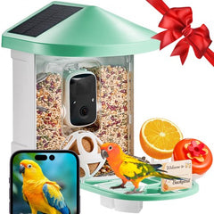 Green solar-powered smart bird feeder with 2K HD camera, AI bird ID, and app connectivity, shown with birdseed, perch, and a parrot.
