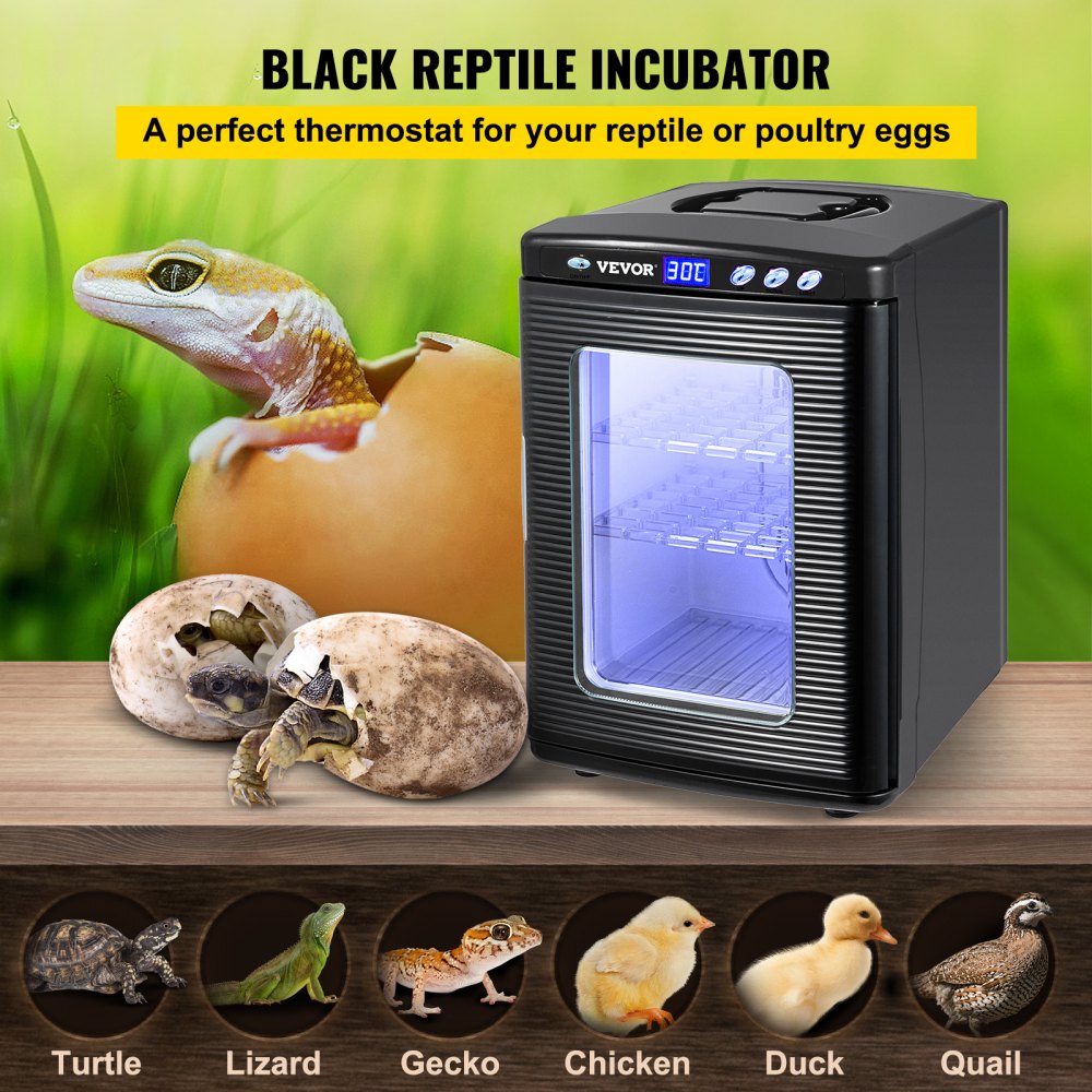 Black Reptile Incubator 25L Scientific Lab Incubator Digital Incubator Cooling and Heating 5-60°C Reptile Egg Incubator 12V/110V Work for Small Reptiles