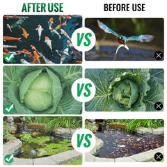 Before-and-after comparison showing a pond net cover protecting koi fish, cabbage plants, and a water garden from debris and predators.