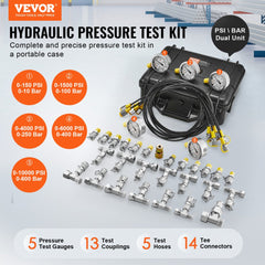 Bostome Hydraulic Pressure Test Kit with 5 dual-scale gauges for 10/100/250/400/600 Bar, hoses, couplings, and case.