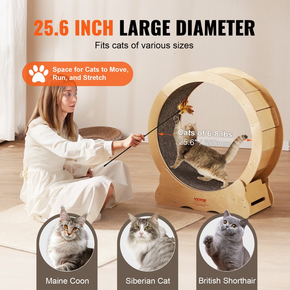 Large cat exercise wheel with a silent treadmill design and sturdy wood construction.