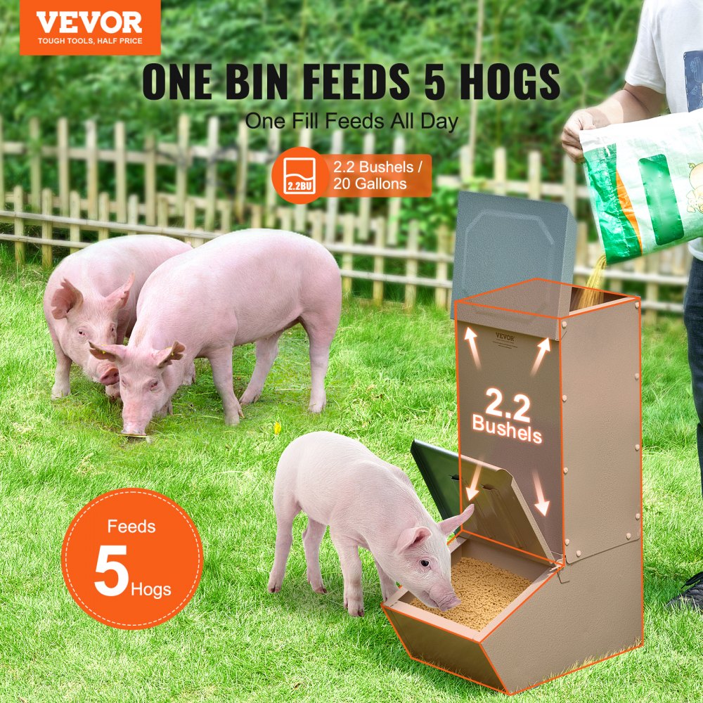 Galvanized steel hog feeder holding 2.2 bushels for 5 pigs, with rain shield and trough.