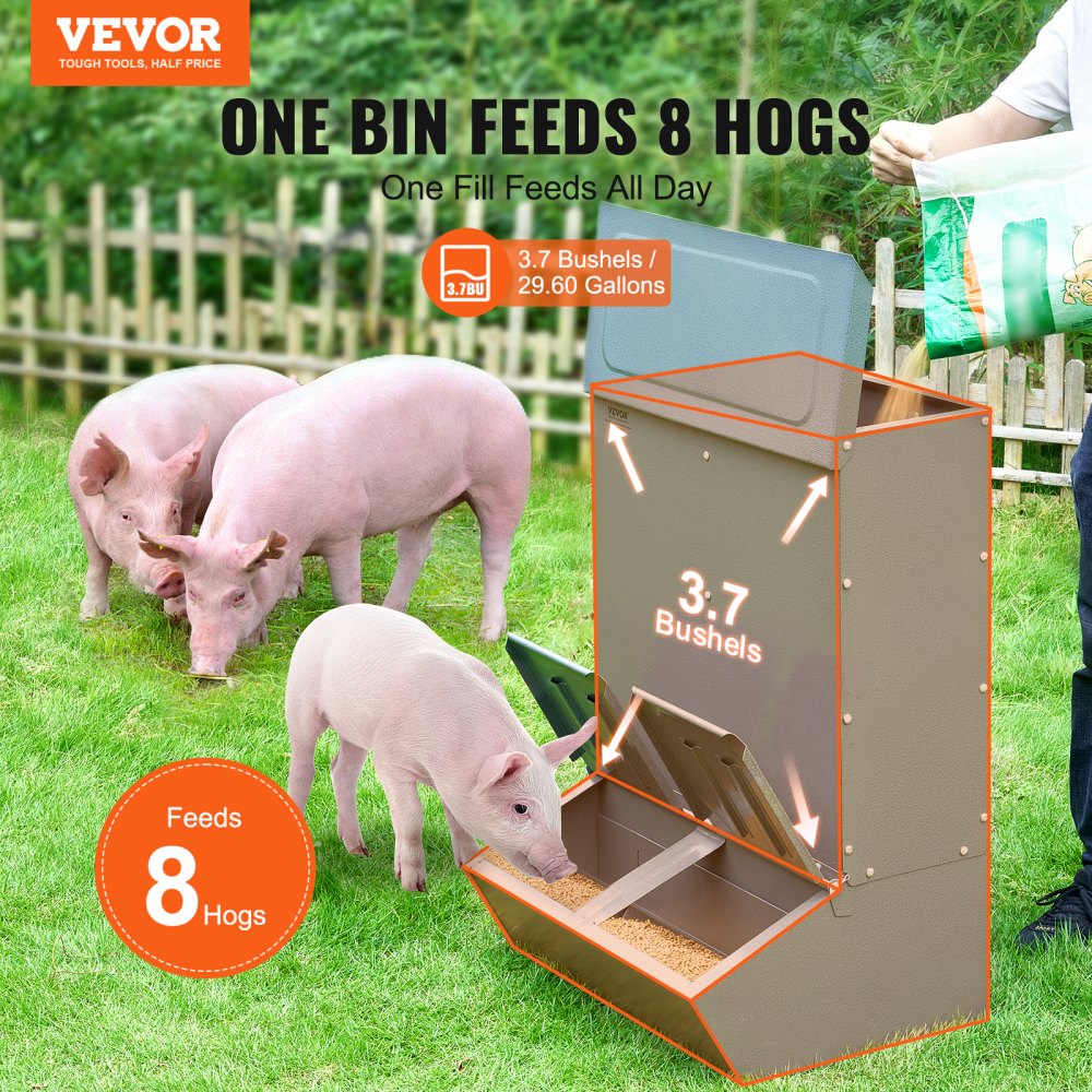 Galvanized steel hog feeder designed for 8 pigs with a rainproof double door structure.