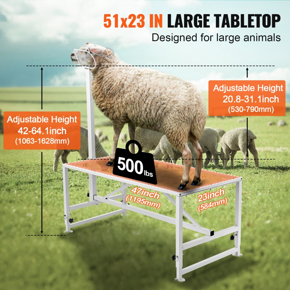 Adjustable metal livestock stand for goats and sheep, 47x23 inches, with height from 21-33 inches and 500 lb capacity.