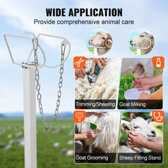 Adjustable 47x23-inch metal stand for securing goats and sheep during grooming, shearing, milking, and fitting.