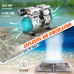 Pond Aerator, 550W Power 5.2CFM for Up to 1 Acre 50` Lake Includes 3/4 HP 100` Weighted Tubing & Diffuser, Air Compressor for Deep Water Oxygen Circulation, 1 Diffuser, Black