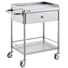  Medical Cart, 2-Layer Stainless Steel Cart 220 lbs Weight Capacity, Lab Utility Cart with 360° Silent Wheels and a Drawer for Lab, Clinic, Kitchen, Salon