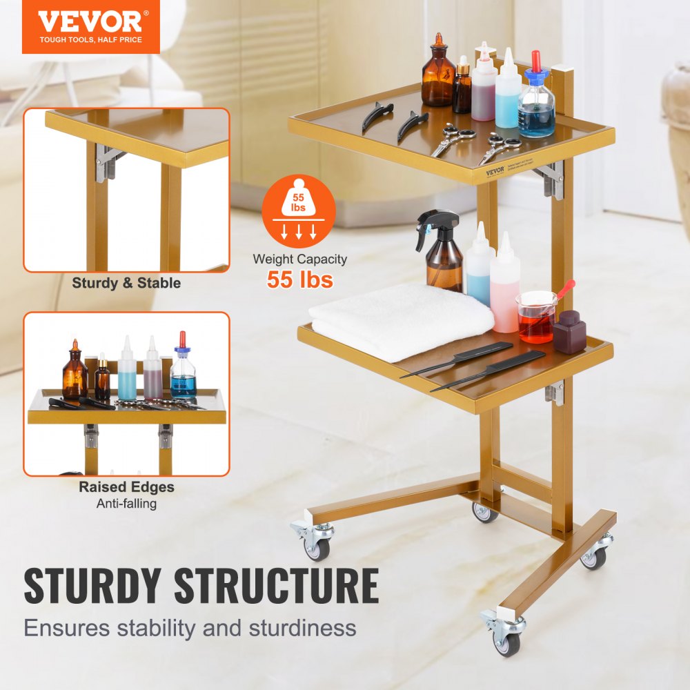2 Tiers Stainless Steel Lab Carts with 2 Trays & 4 Silent Wheels Golden, Lab Serving Cart Utility Cart Stainless Steel Medical Cart, Lab Carts with 2 Drawers & Top Tray, Lab Rolling Cart for Lab, Clinic, Hospital, Salon, Office