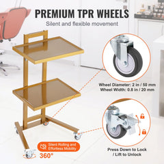 2 Tiers Stainless Steel Lab Carts with 2 Trays & 4 Silent Wheels Golden, Lab Serving Cart Utility Cart Stainless Steel Medical Cart, Lab Carts with 2 Drawers & Top Tray, Lab Rolling Cart for Lab, Clinic, Hospital, Salon, Office