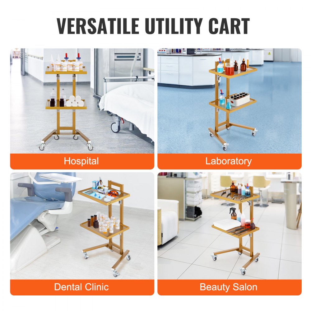 2 Tiers Stainless Steel Lab Carts with 2 Trays & 4 Silent Wheels Golden, Lab Serving Cart Utility Cart Stainless Steel Medical Cart, Lab Carts with 2 Drawers & Top Tray, Lab Rolling Cart for Lab, Clinic, Hospital, Salon, Office