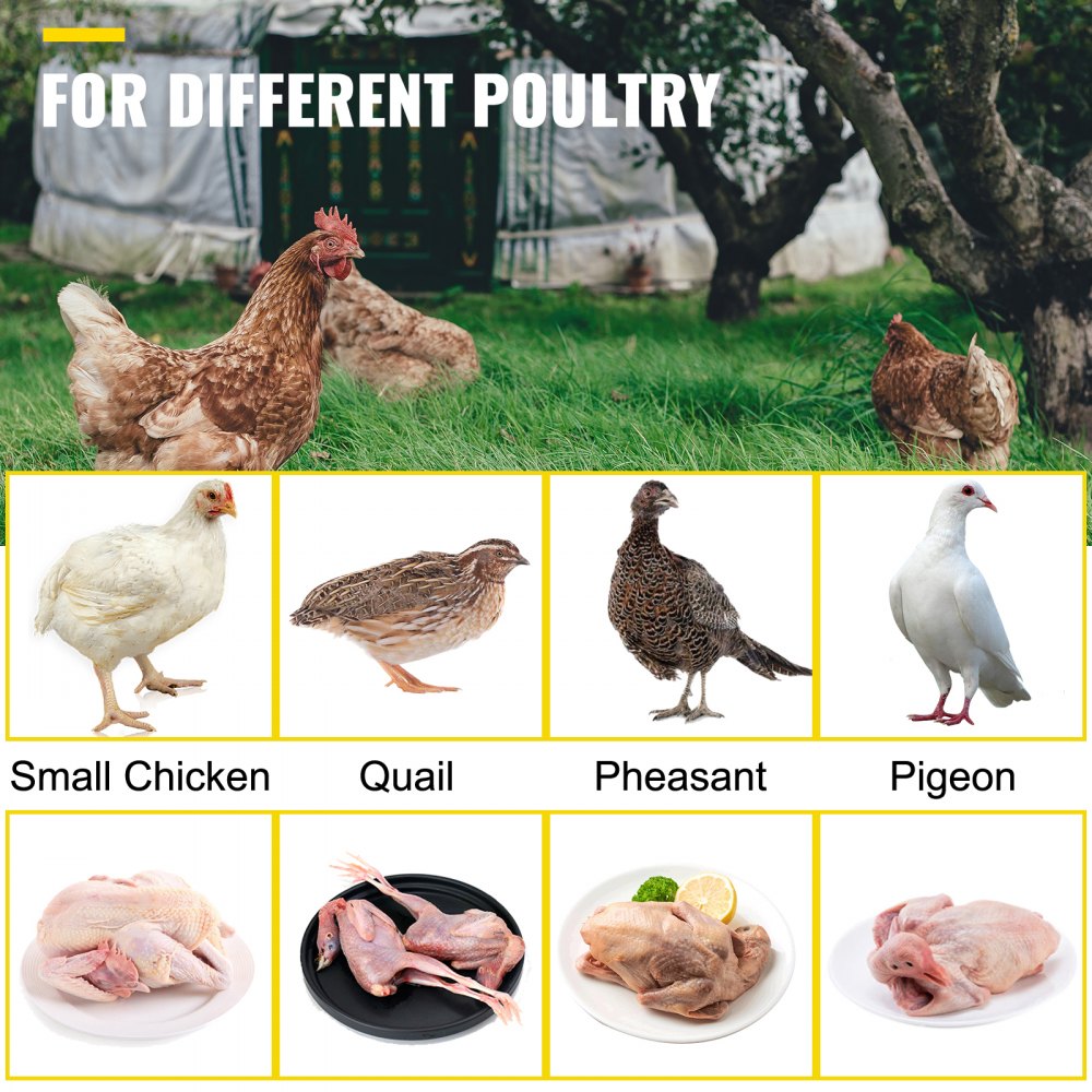 Stainless steel chicken plucker drill attachment with 18 rubber fingers for poultry like chickens, quails, pheasants, and pigeons.