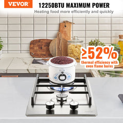 Gas Cooktop 12 inch, Max 12250BTU 2 Burners Built-in Stainless Steel Gas Stove Top, LPG/NG Convertible Dual Fuel Natural Gas Hob with Thermocouple Protection
