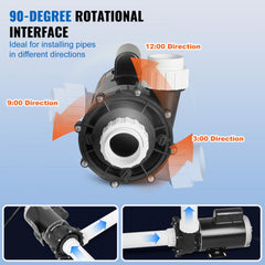 Bostome 2-speed hot tub spa pump with a 56-frame, 3HP and 0.4HP motor and 2-inch port.